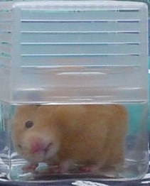 クリニック外観